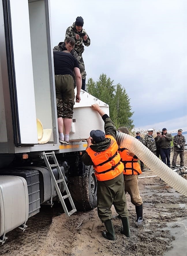 Акт зарыбления водоема образец