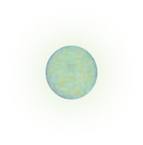 round shining mushroom spore floating in the air