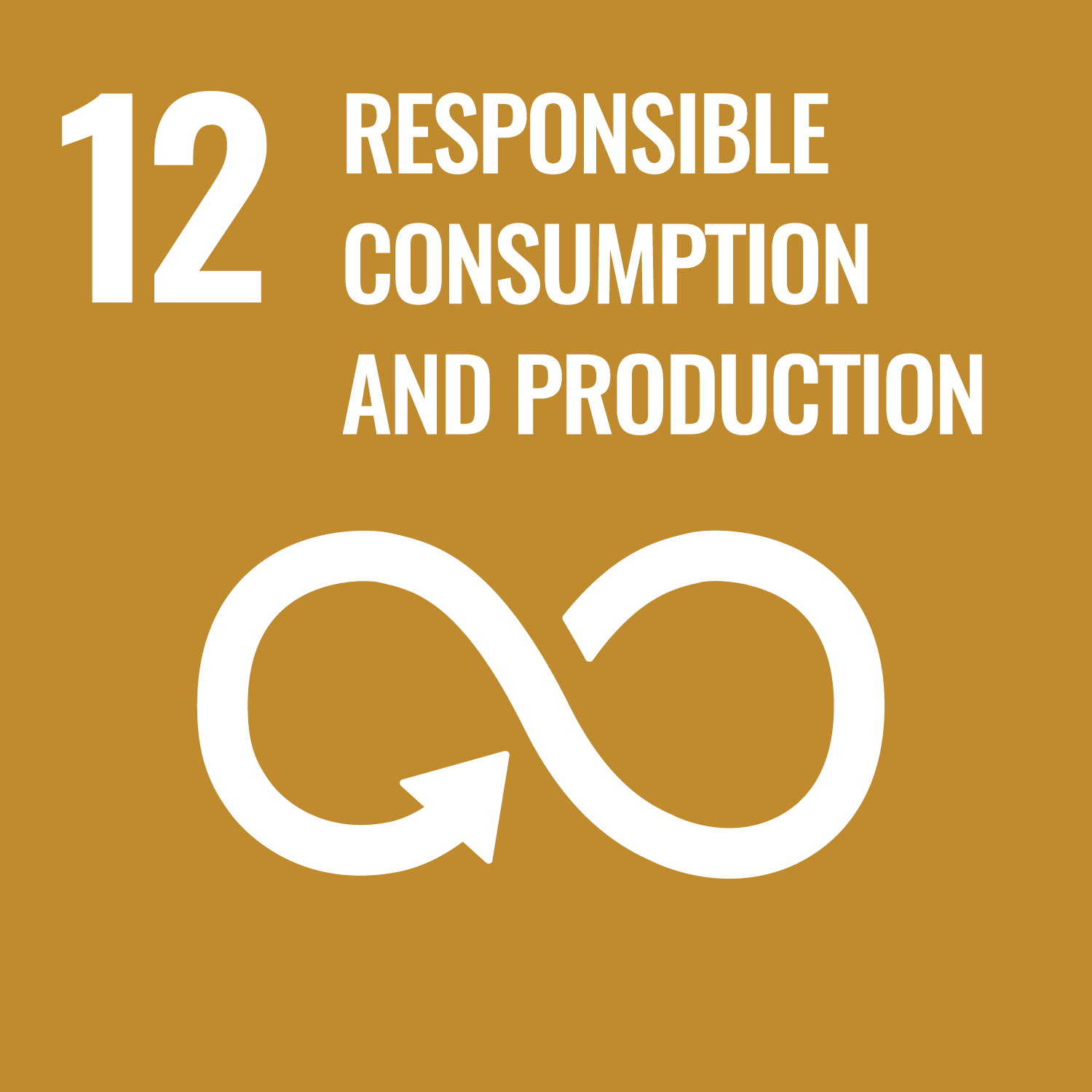 12. Responsible consumption and production The resources of our planet are not infinite. Consumption and production is a driving force in economy, but it can be destructive without a responsible and sustainable approach. How we target this SDG? Our company is moving towards sustainable patterns of consumption and production. We have internal carbon metrics and life cycle assessments to take smart and sustainable decisions. We are making efforts to reduce our total waste in our facilities with the goal of becoming a zero waste facility soon.