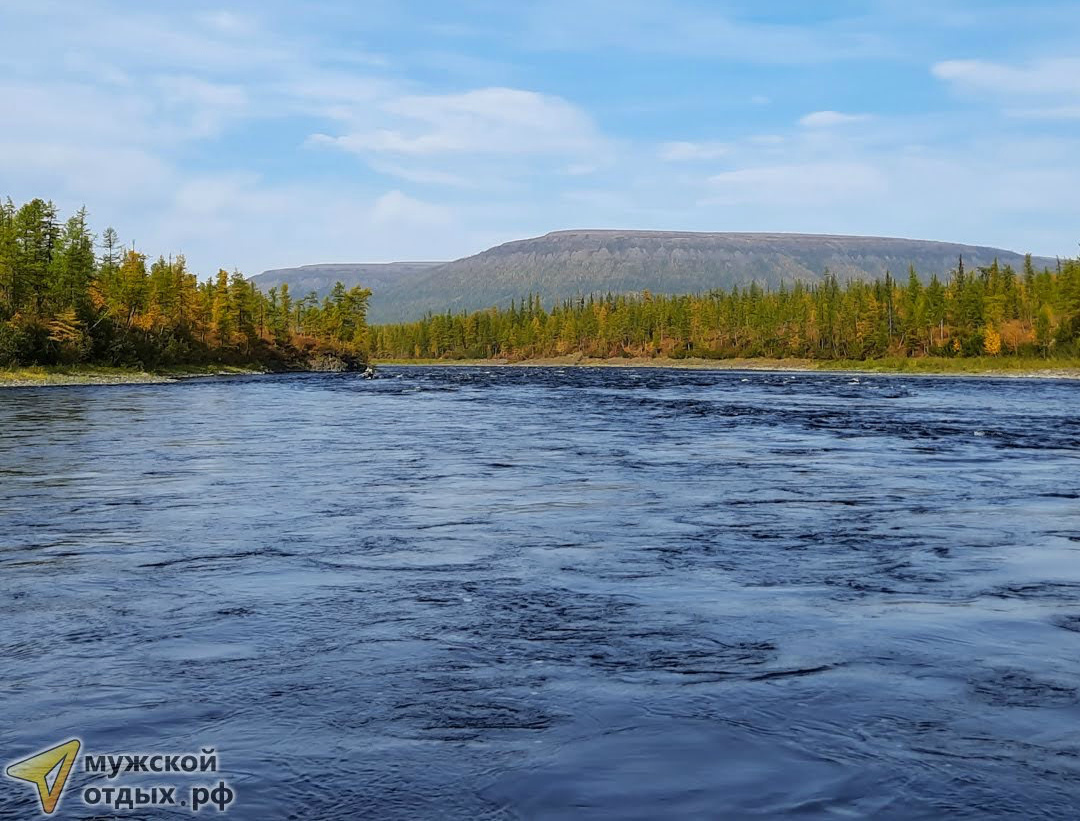 Красота природы тайги