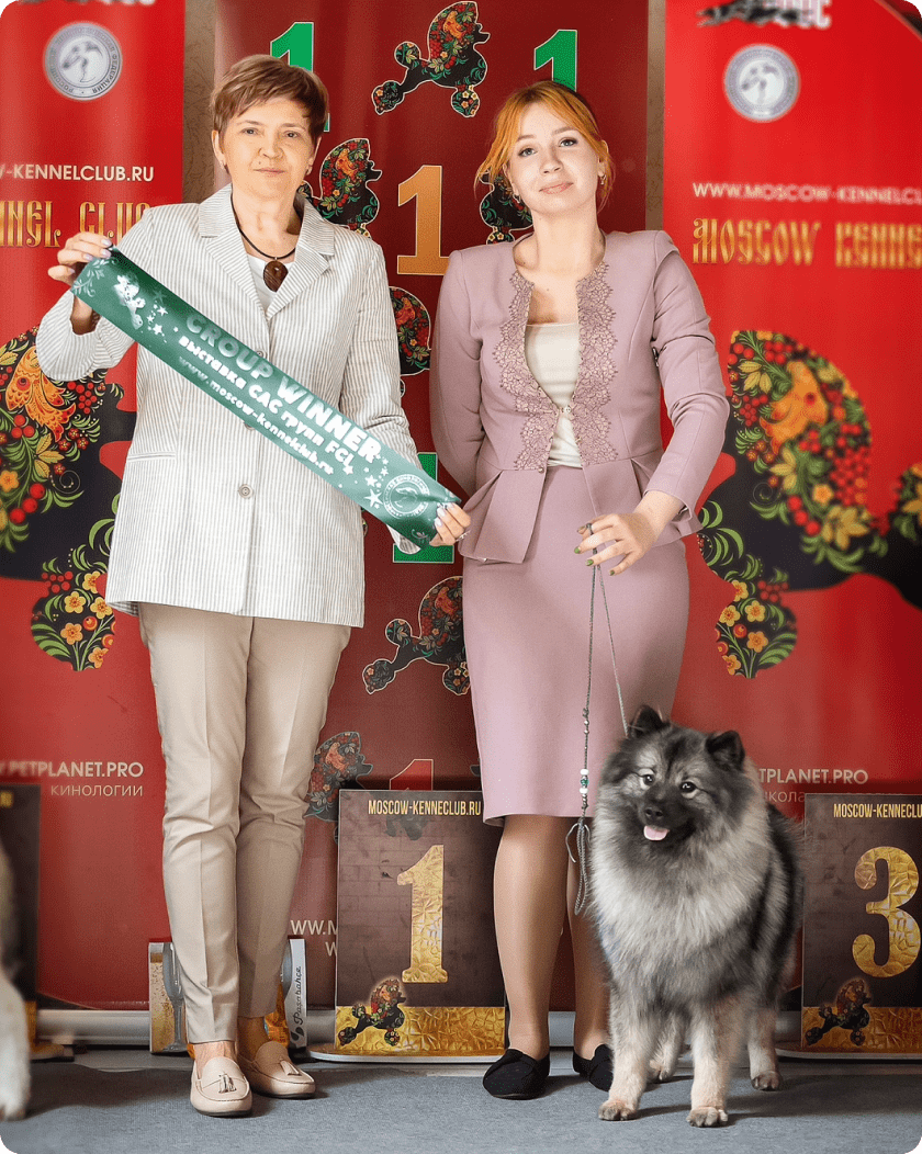 Ветеринарная клиника, ветклиника