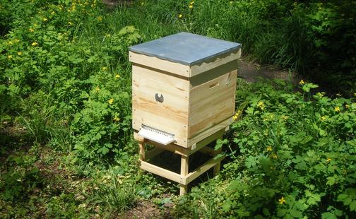 Ульи для пчел: выбор вида и инструкция по изготовлению своими руками
