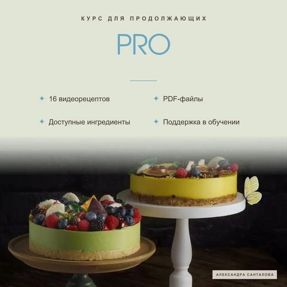 Обложка курса «PRO»