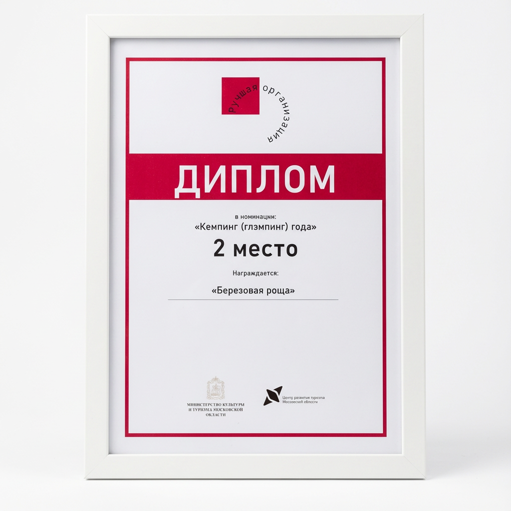 Диплом проекта открытьбазу.рф, 3