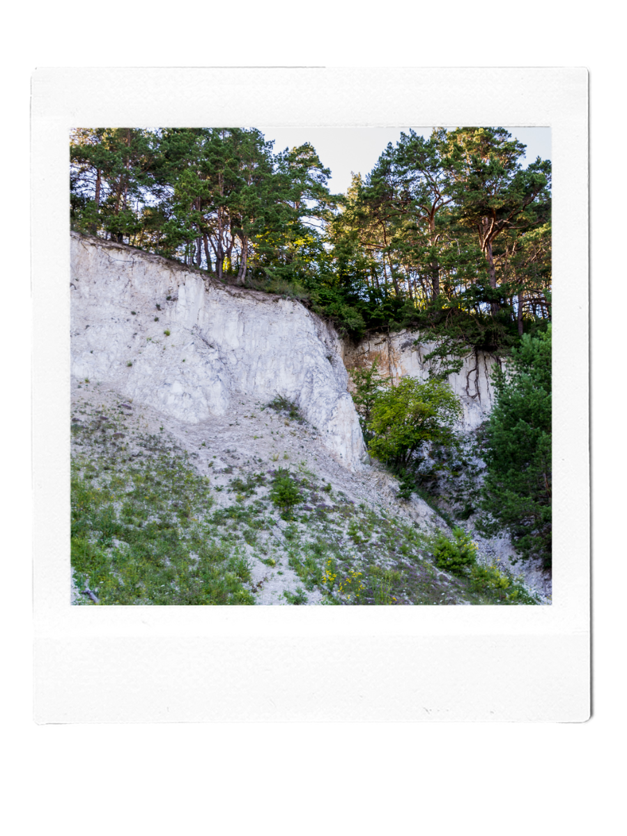 Наш мел добывается в экологически чистых районах