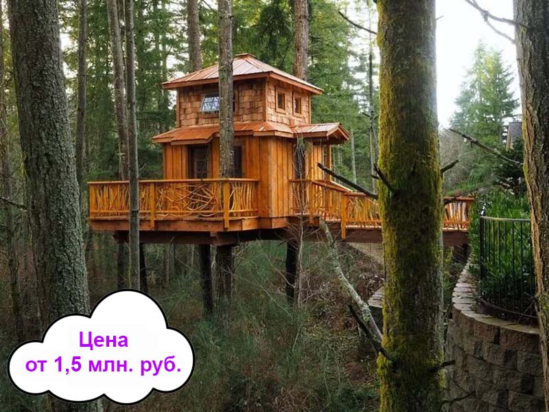 дом на дереве москва
