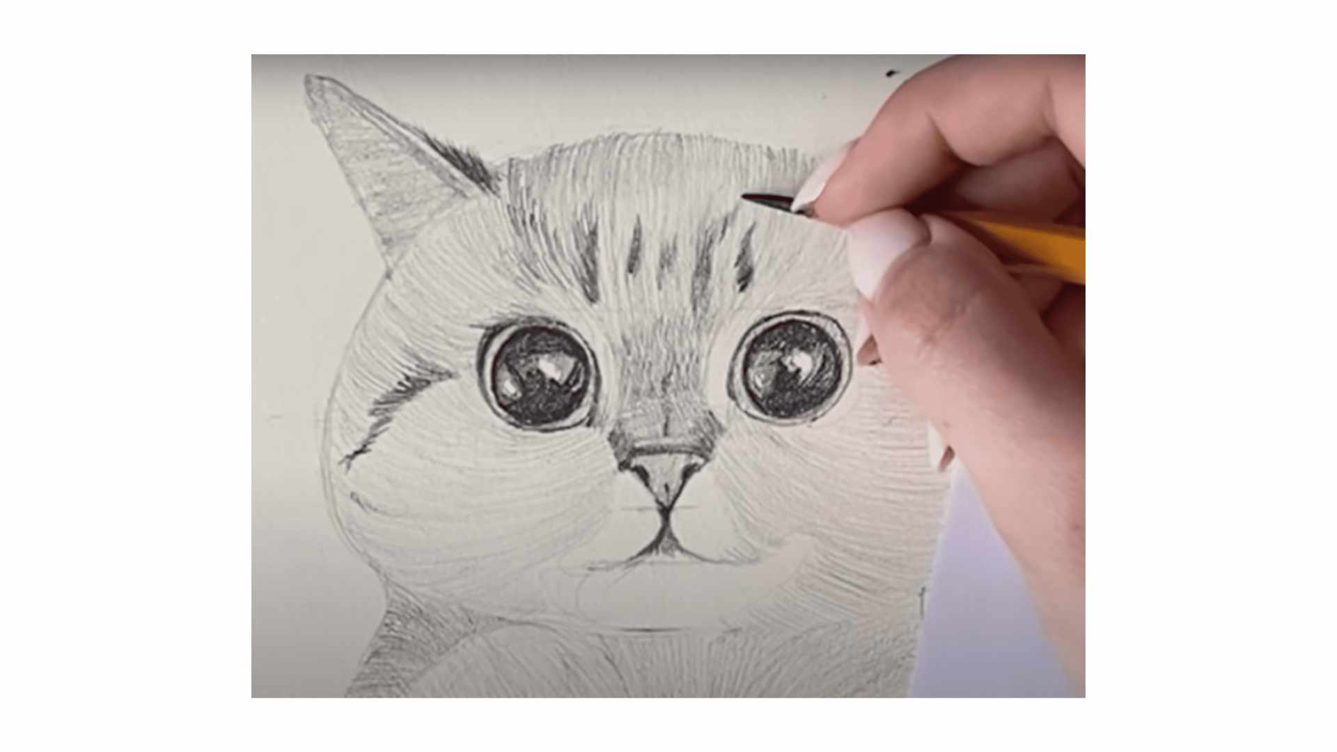 як малювати котика
