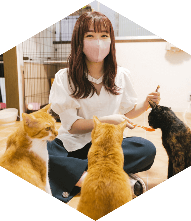 Зоотерапия