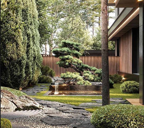 architectural design territory improvement