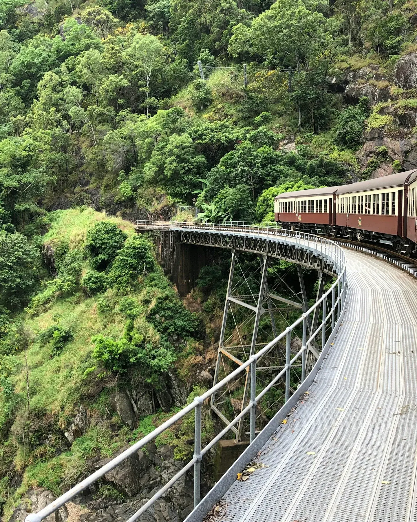 Исторический поезд Kuranda Scenic Railway на эстакаде в ущелье