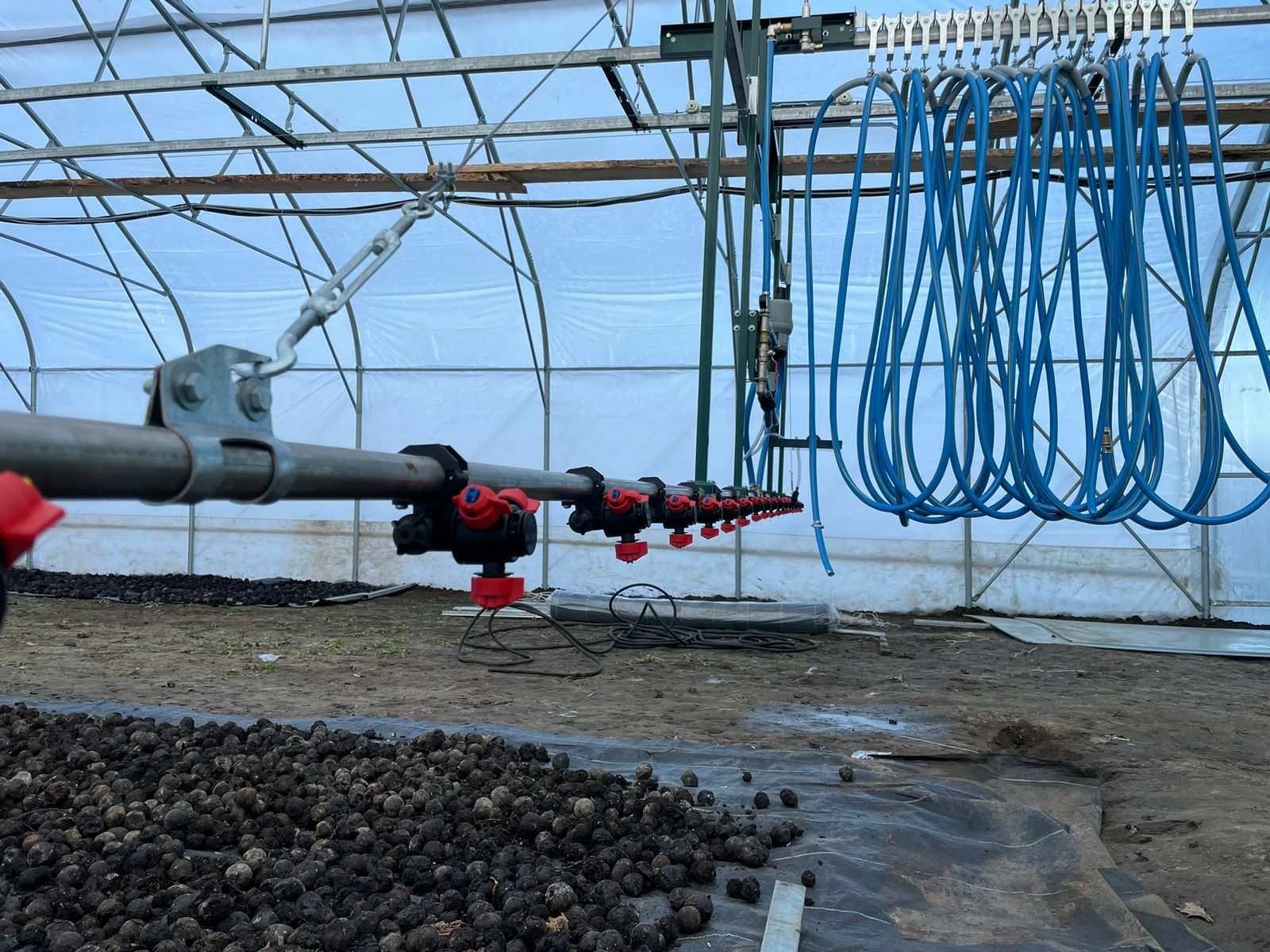 промышленный урожай