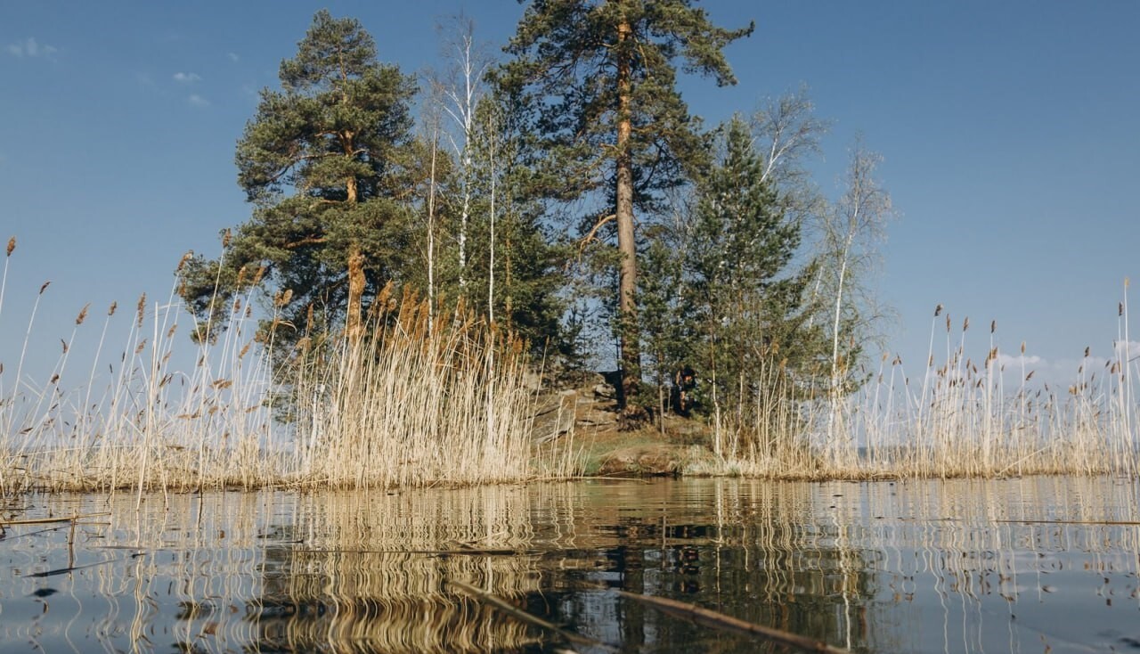 Шесть маршрутов рядом с Екатеринбургом, где можно гулять, кататься на  велосипедах в тишине или наоборот покричать в лесу - Обложка: Welcome To  Ural