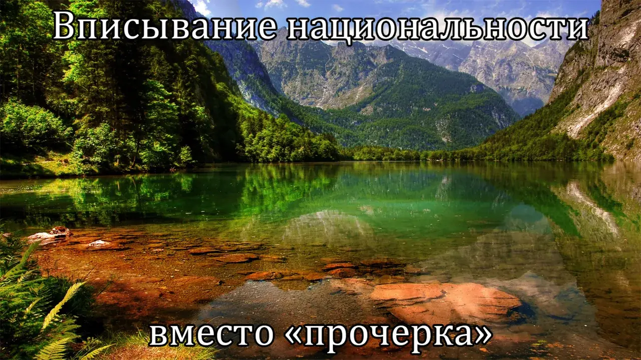Вписывание национальности вместо «прочерка» — разбор