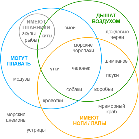 Вот так надо доводить до сквирта жену, наглядное пособие – Telegraph