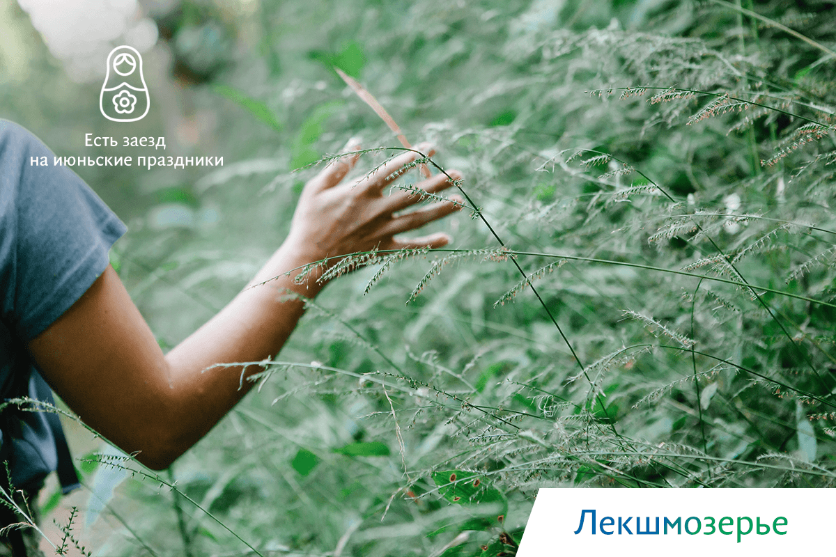 киты в охотском море