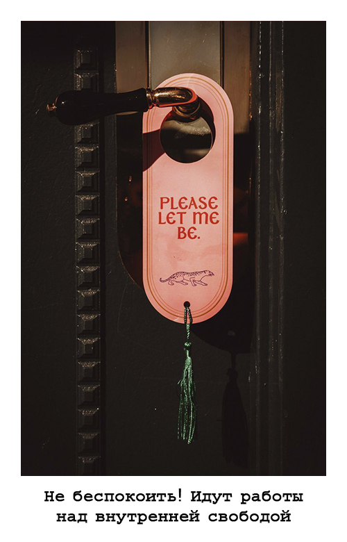 Cherry Riot Case Cherry Riot