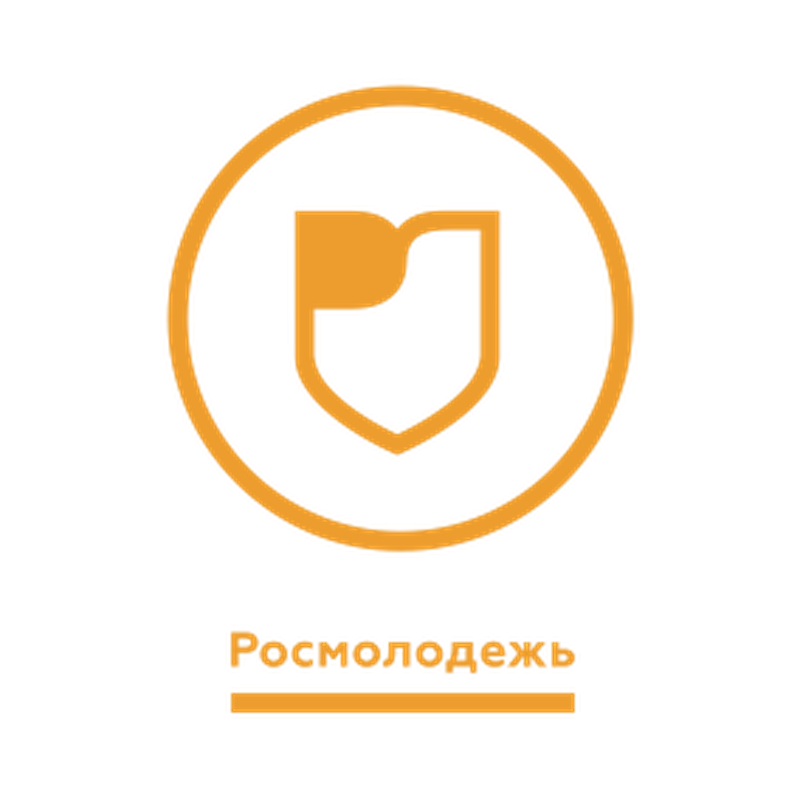 Проект на росмолодежь