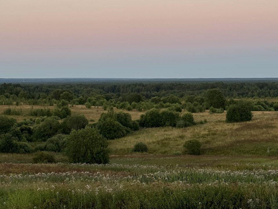 Дача Липы, глэмпинг