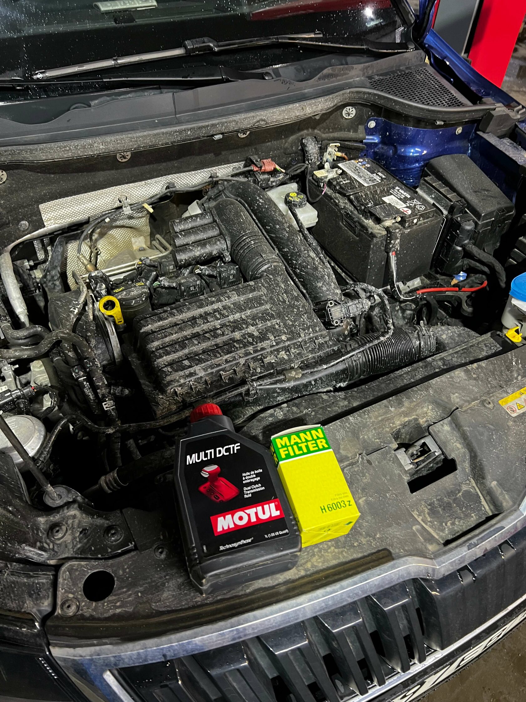 Масло Motul DCTF и фильтр Mann для DSG