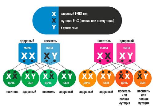 В Португалии найдены останки древнего мужчины с двумя X-хромосомами ::Первый Севастопольский