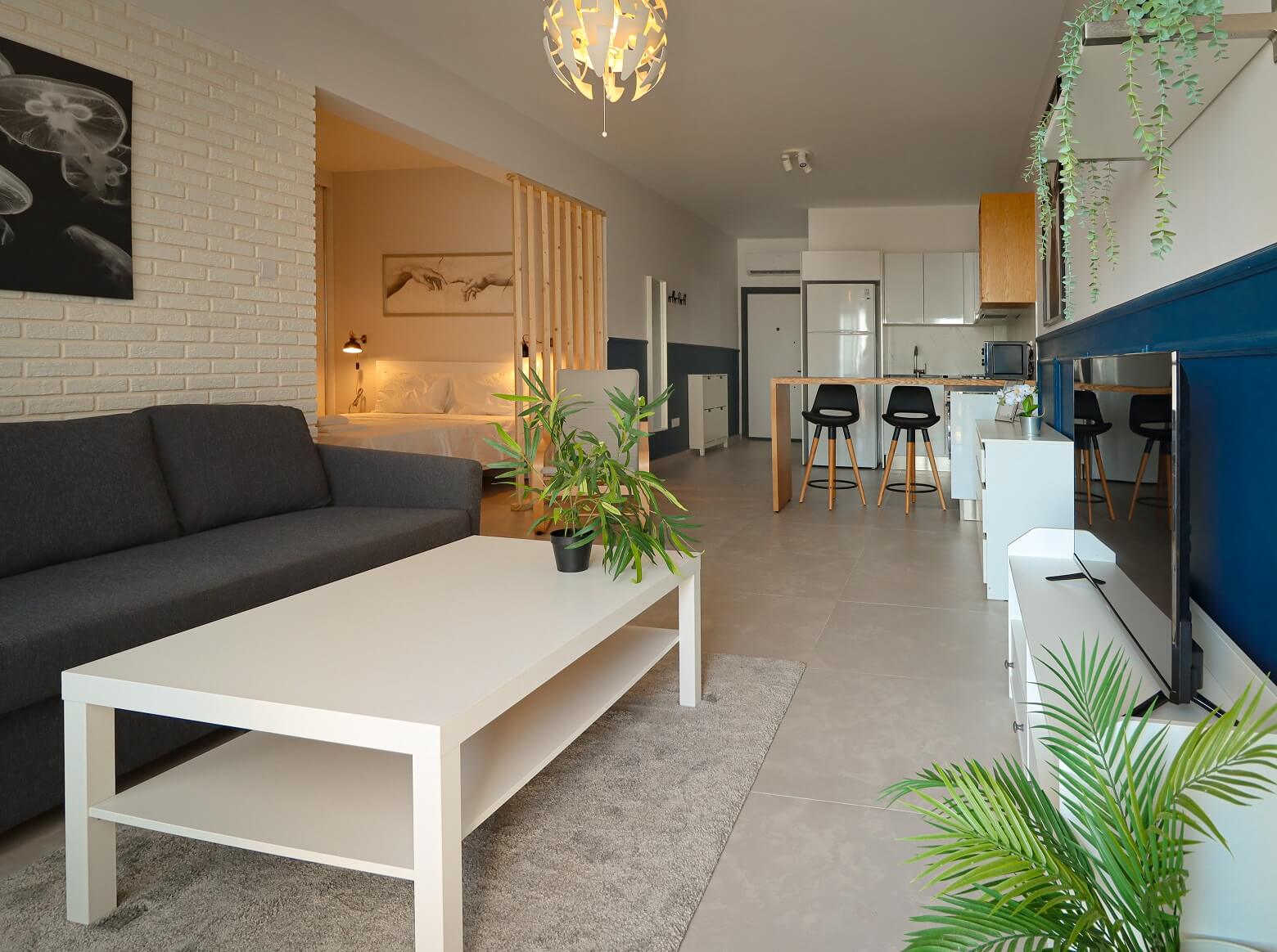 Студия с нишей