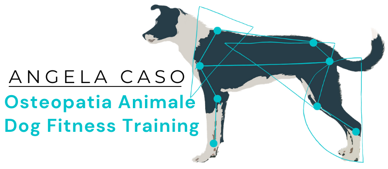 Angela Caso - Osteopatia Animale &amp; Dog Fitness Training