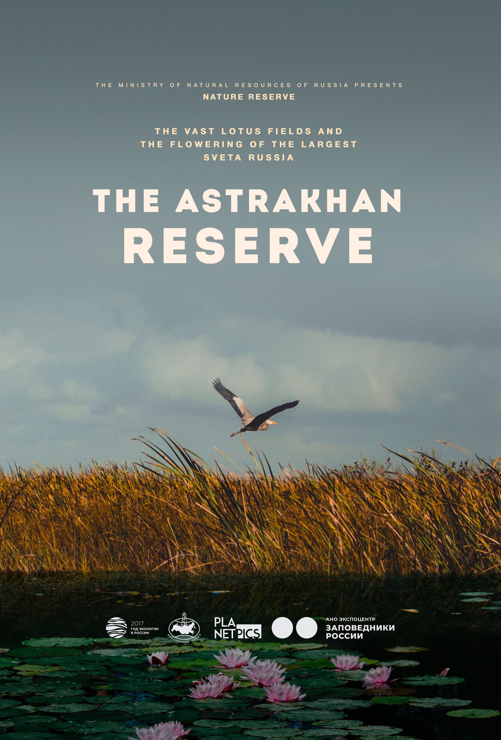 The Astrakhan Reserve