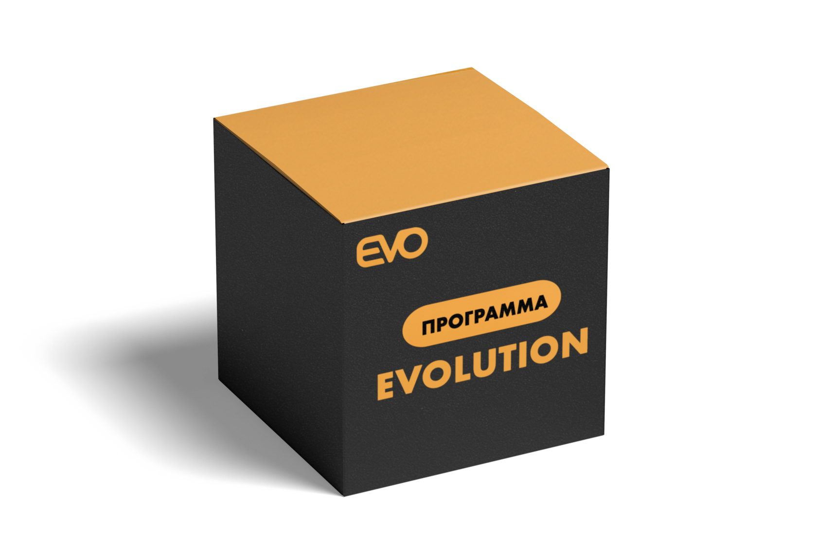 EVOLUTION