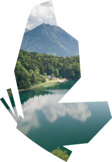 бабочка картинка