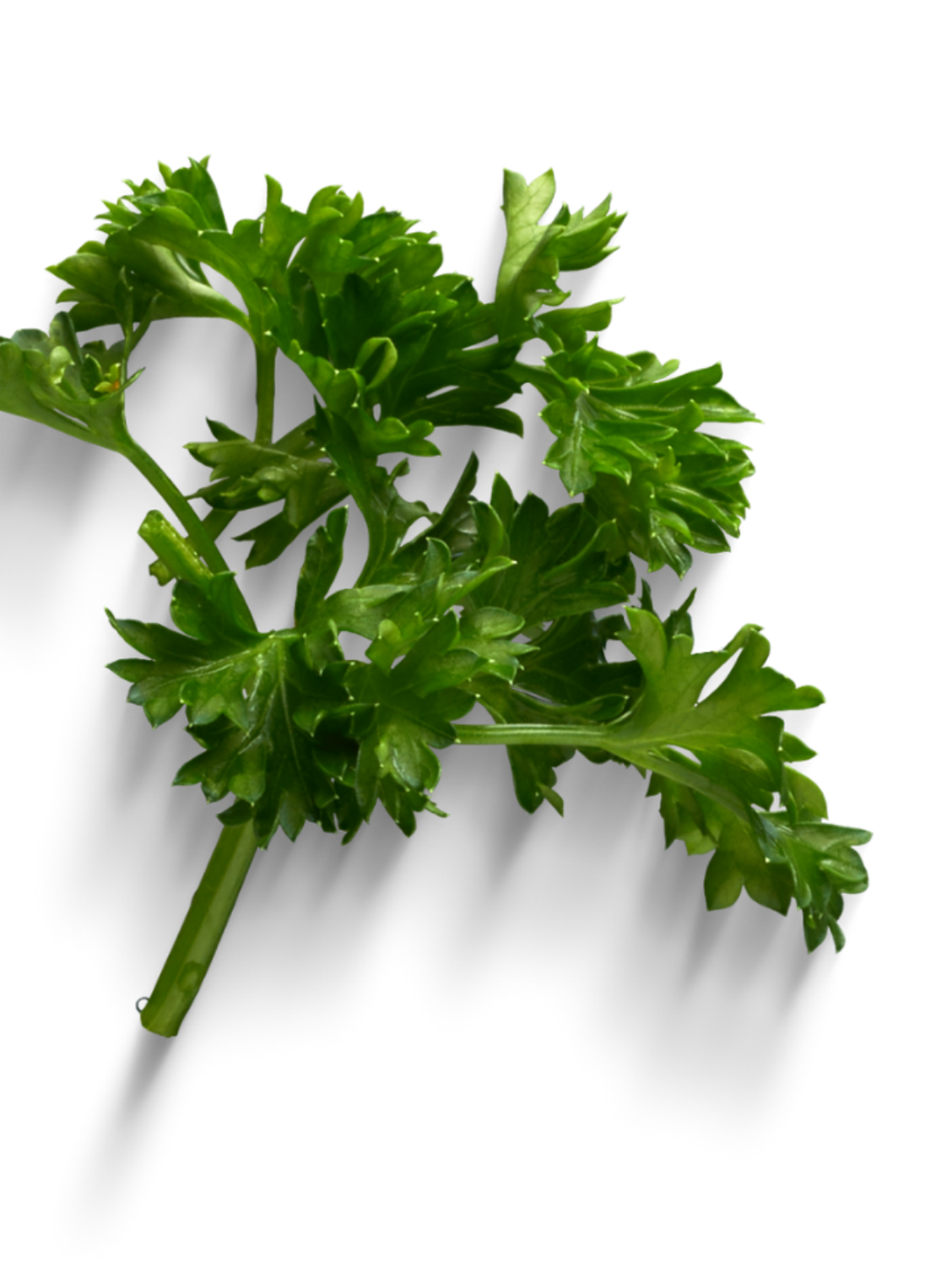 Гайд 5 элемент