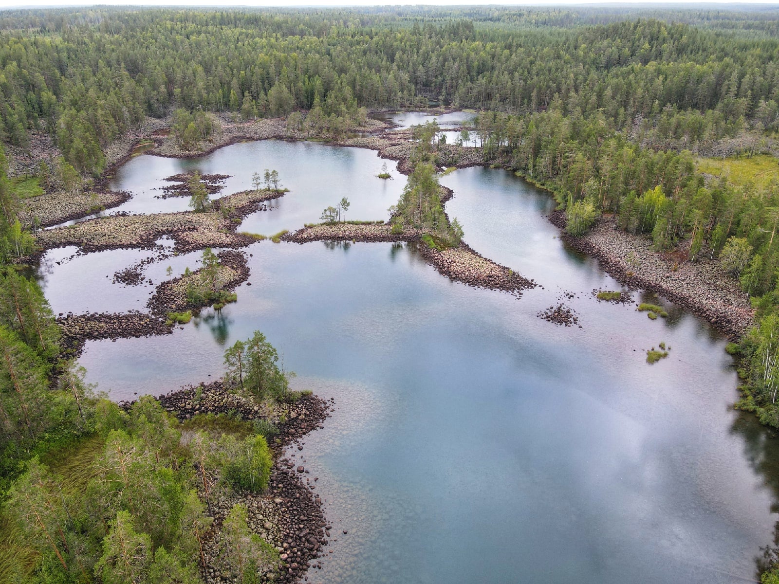 Уксинский оз. Озовые гряды Водлозеро. Ускинская озовая гряда. Уксинская озовая гряда Карелия зимой.