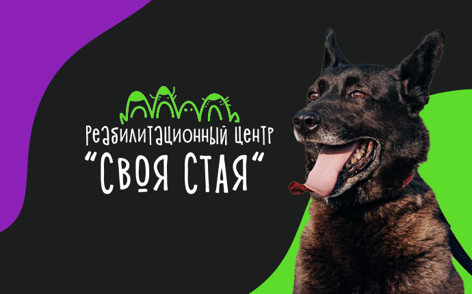 Катерина пискунова и стая телеграм