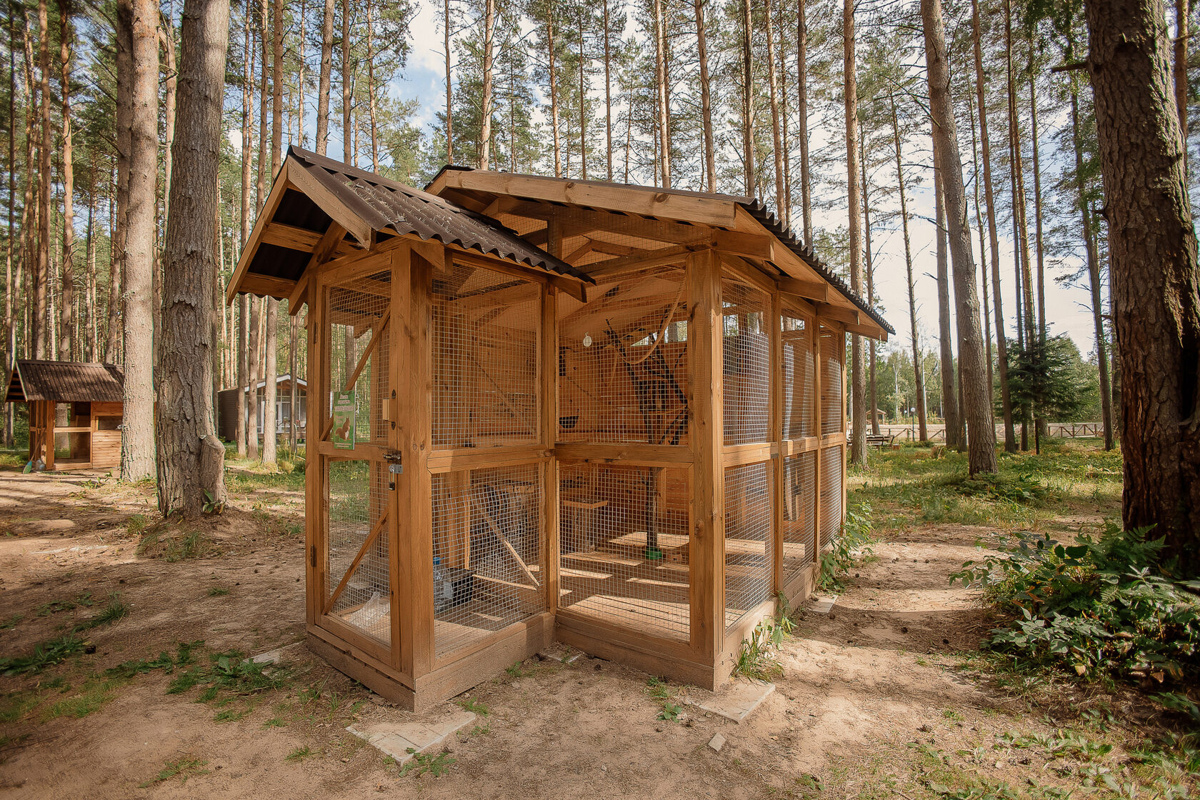 Домики в сосновом лесу, озеро с рыбалкой и лодками, беседка с мангалом, бан...