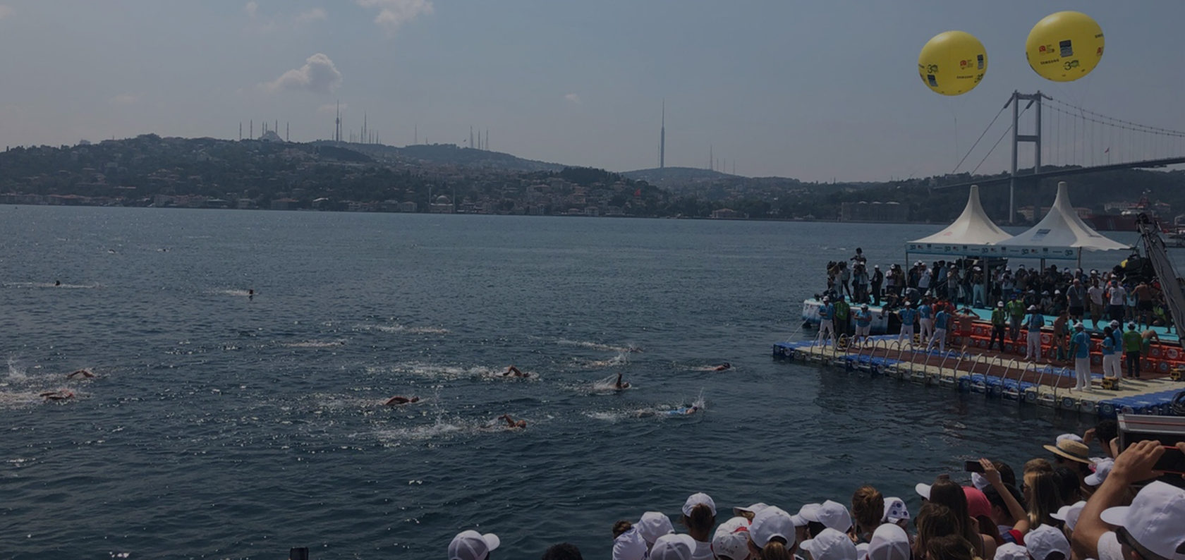 Финиш заплыва