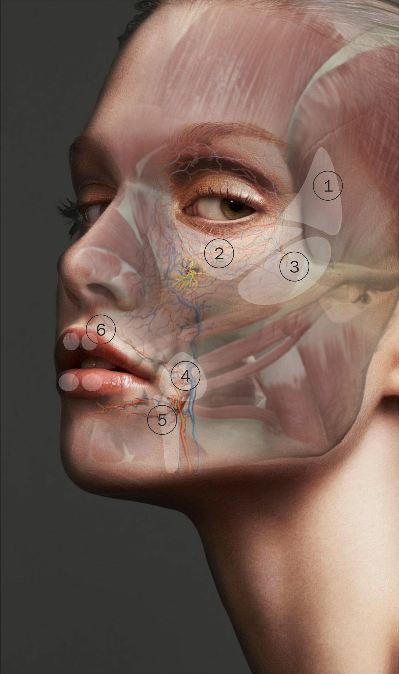 Face Natural опасные зоны