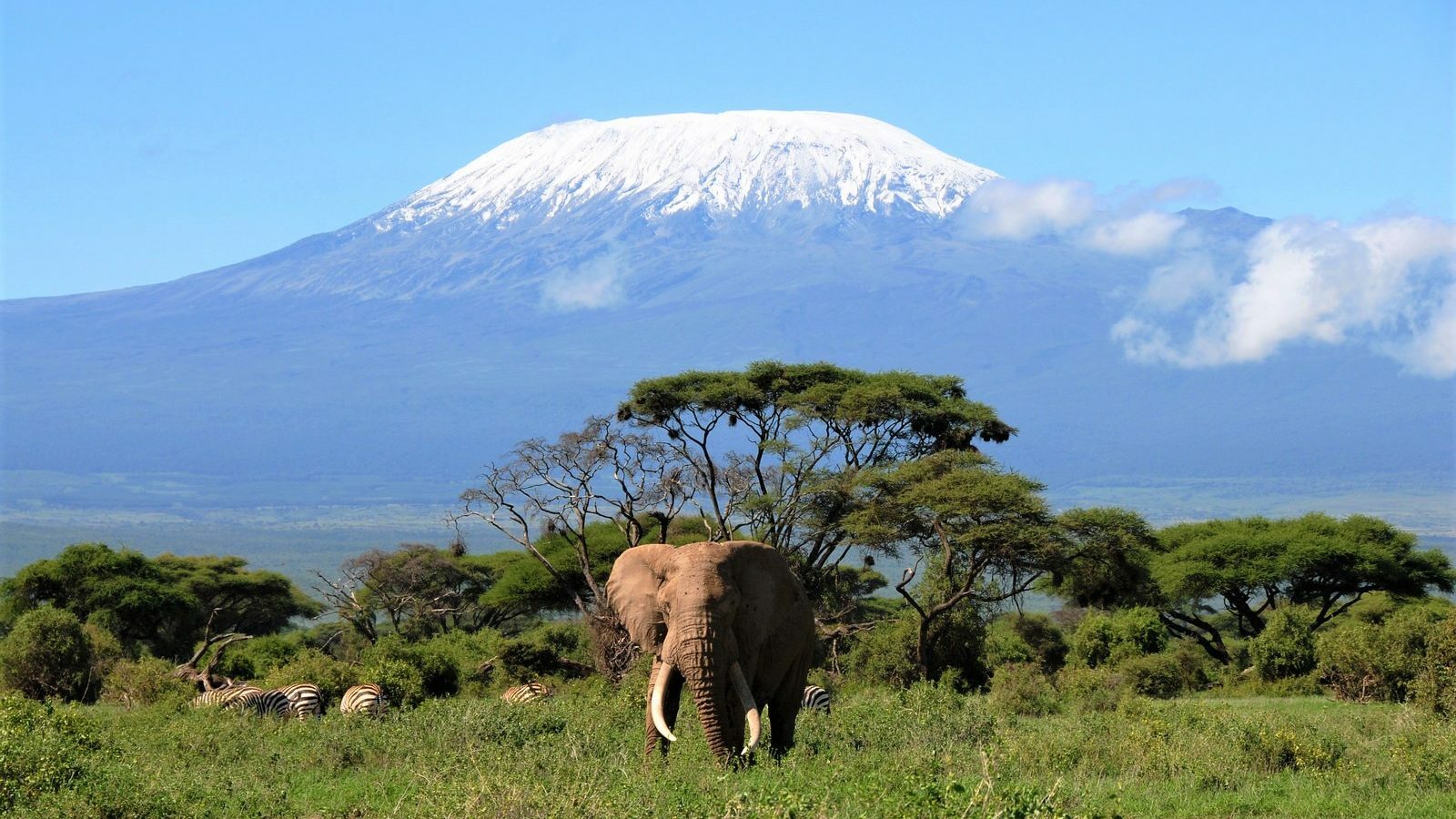 Самые высокие африки. Танзания Килиманджаро. Танзания гора Килиманджаро. Национальный парк Килиманджаро в Африке. Вулкан Килиманджаро.