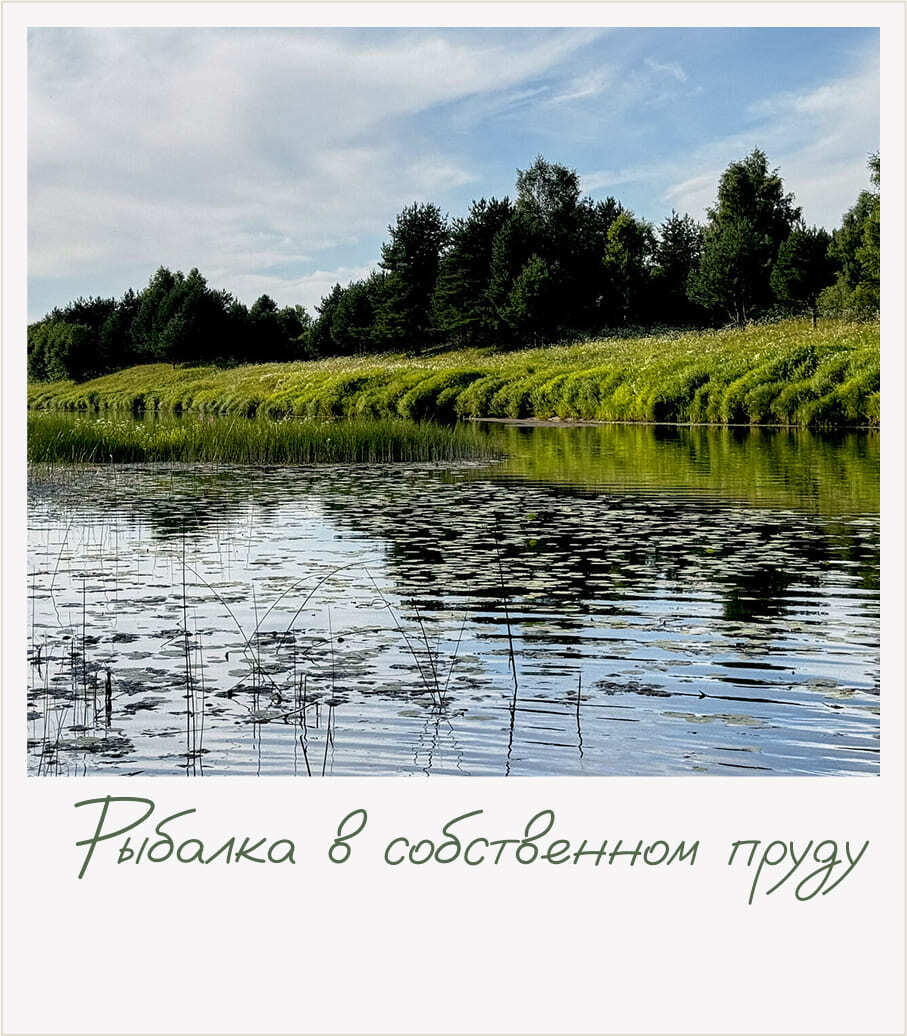 РекаЛеса, глэмпинг