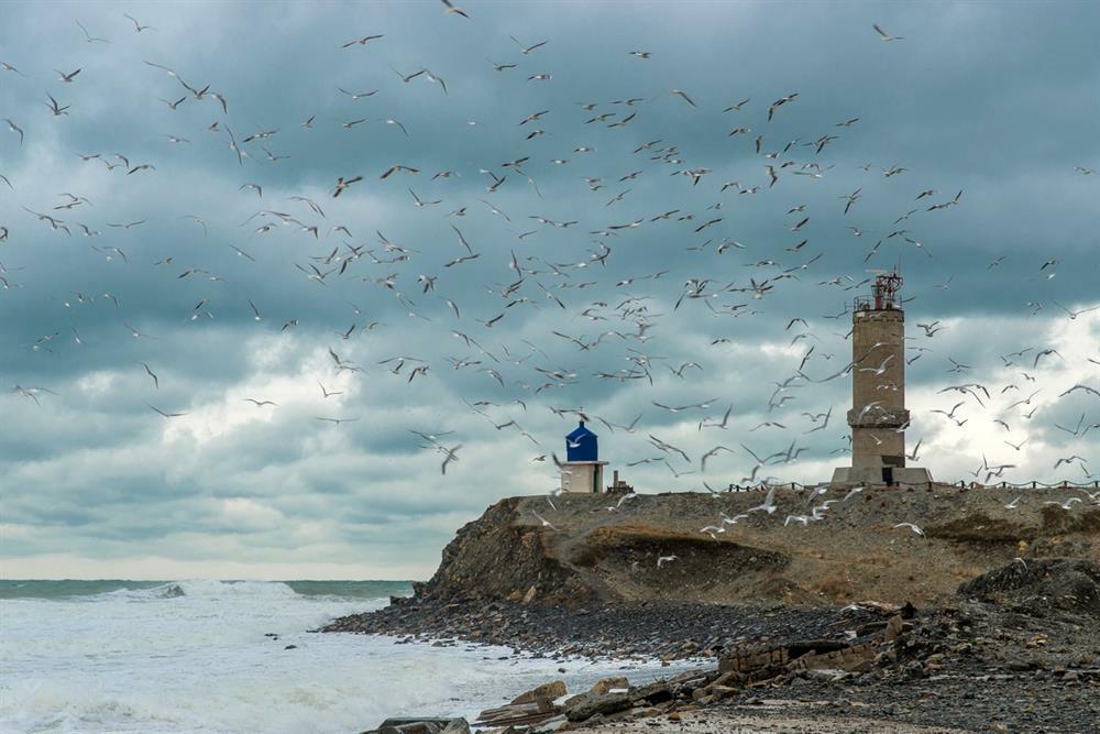 Море маяк чайки фото