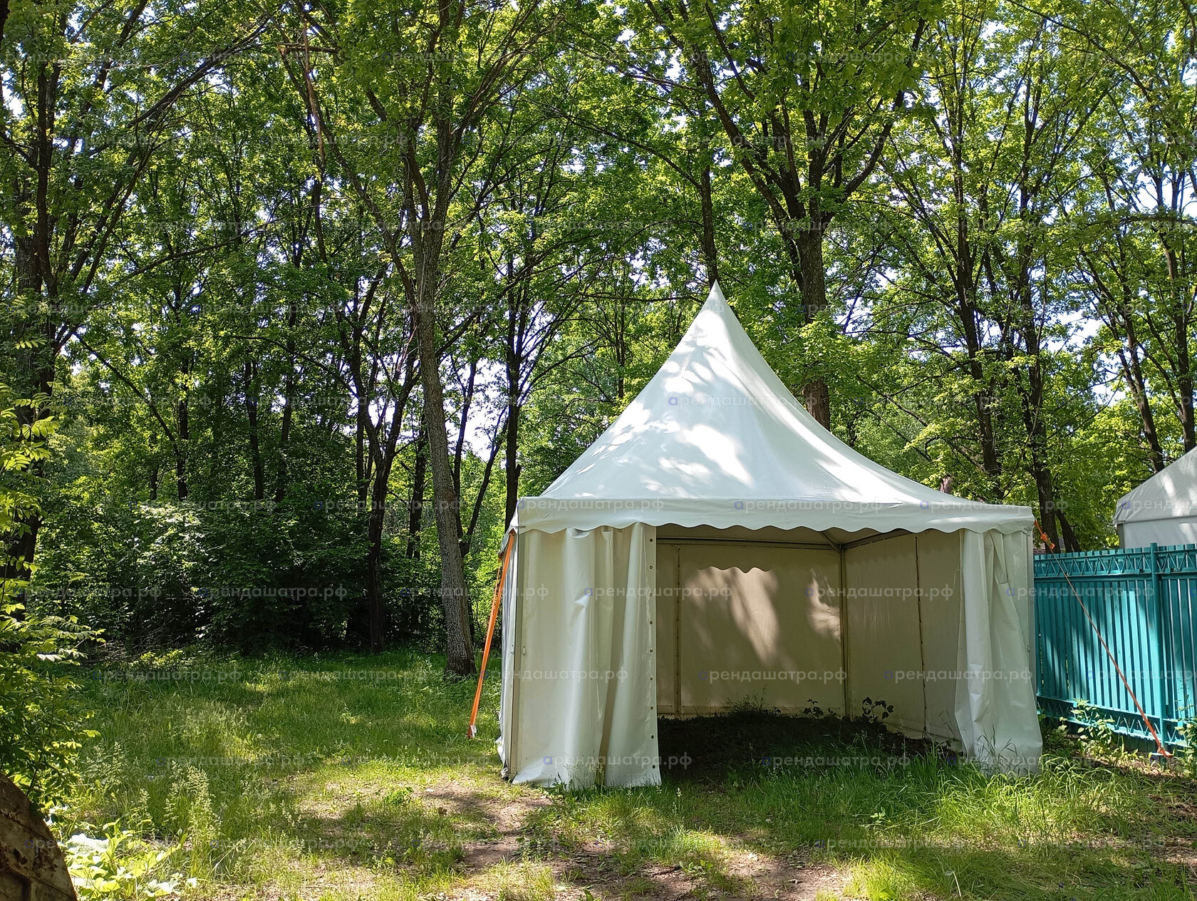 VIP Зона на Сабантуе в Нижнекамске в Казани, фото&nbsp;2