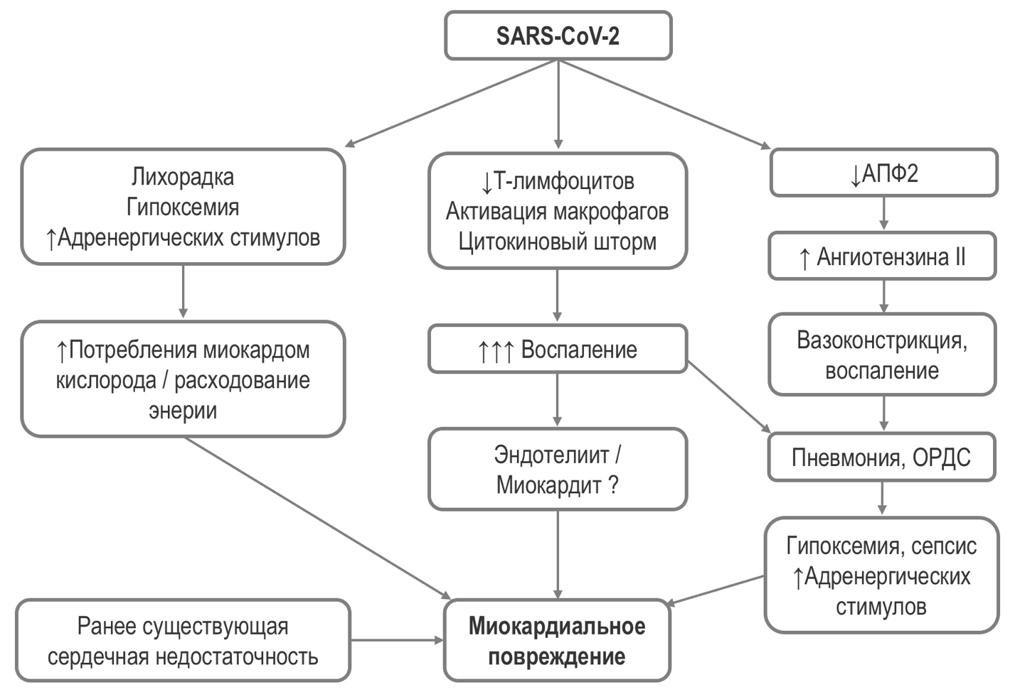 Ковид 19 проект