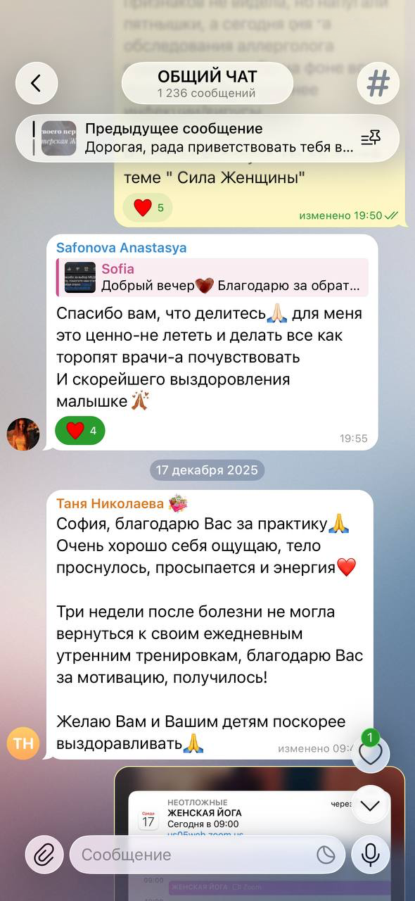 Паутина