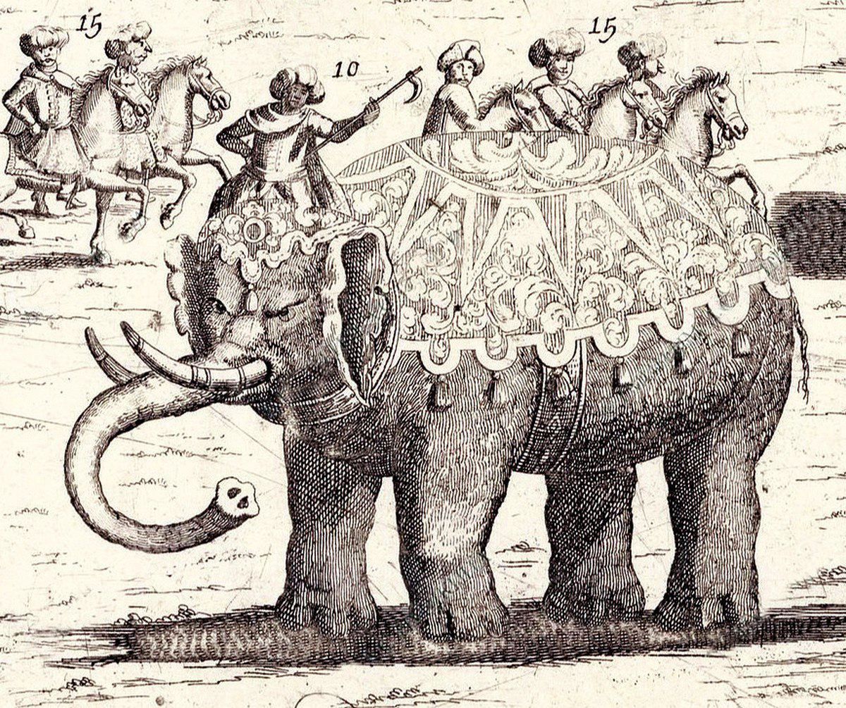 Слоны в Петербурге 18 век