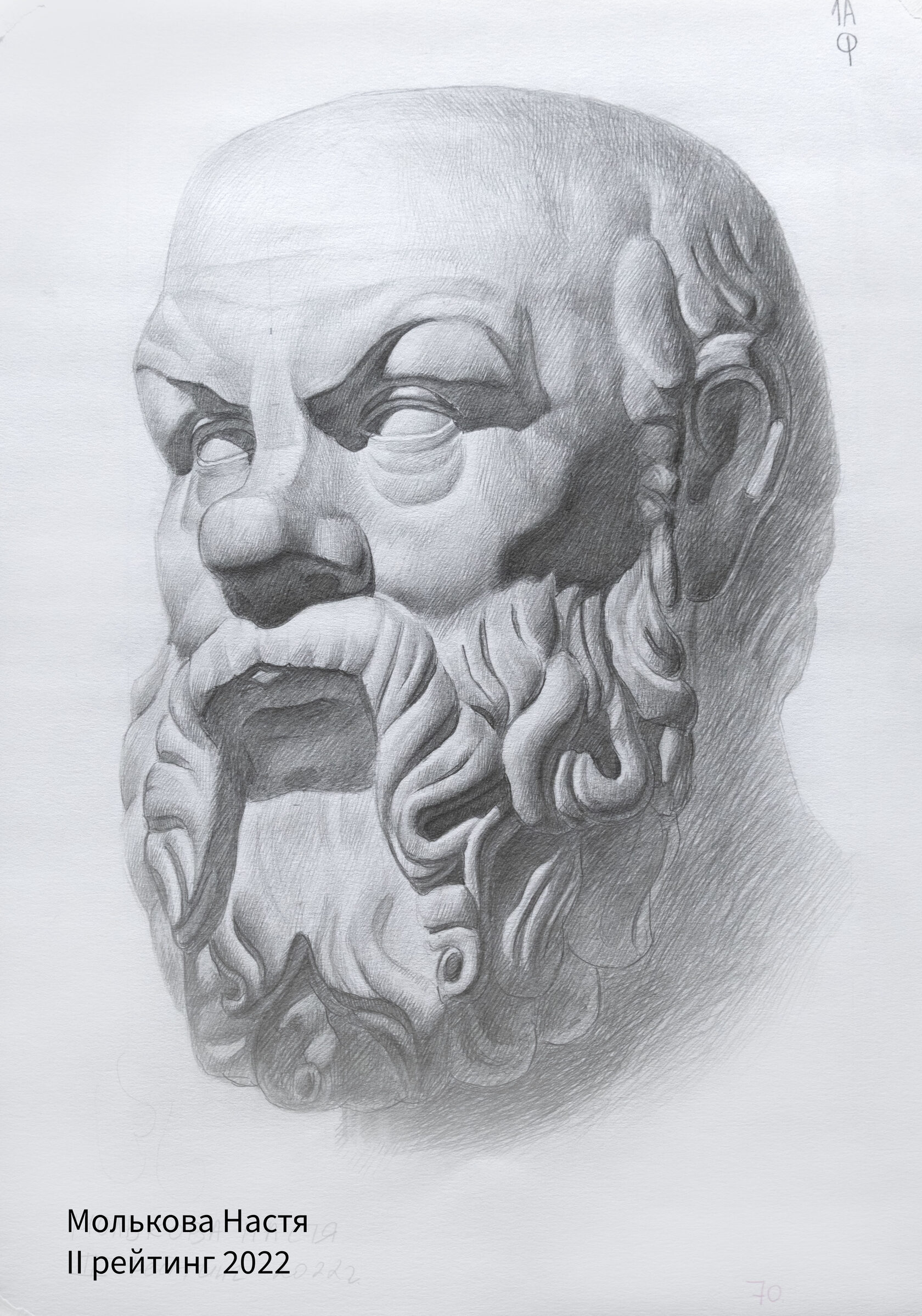 Сократ рисунок гипсовой головы поэтапно