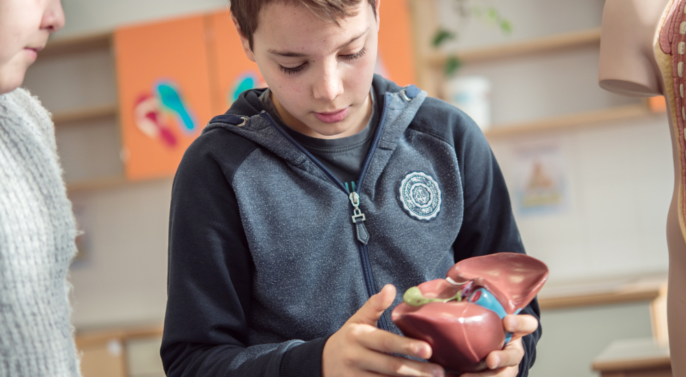 олимпиада по биологии 8 класс