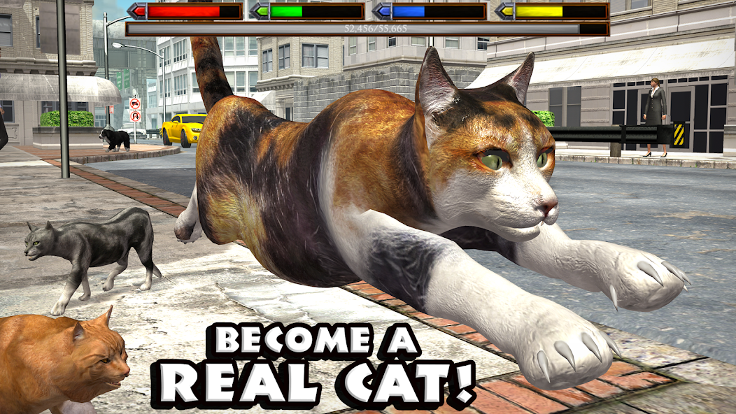 Ultimate Cat Simulator animal game for mobile