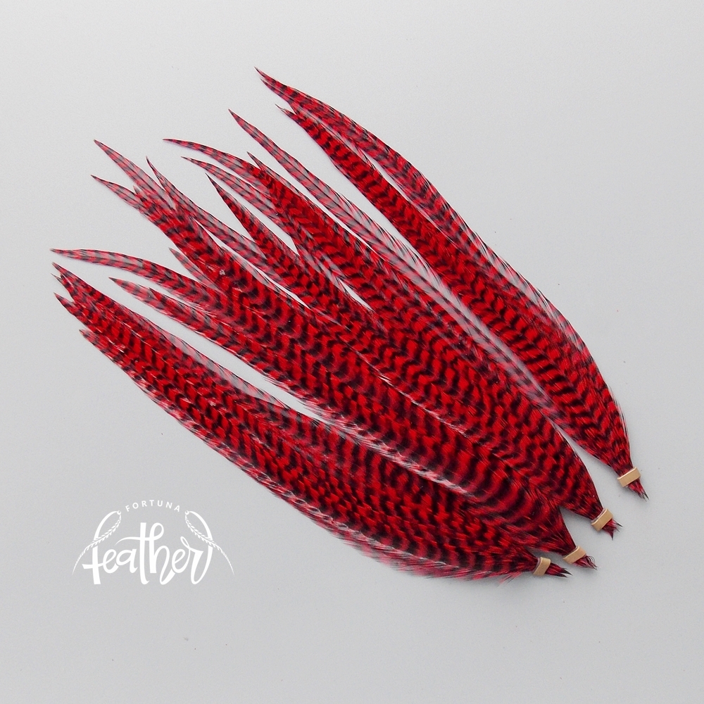 Перо петуха Ewing