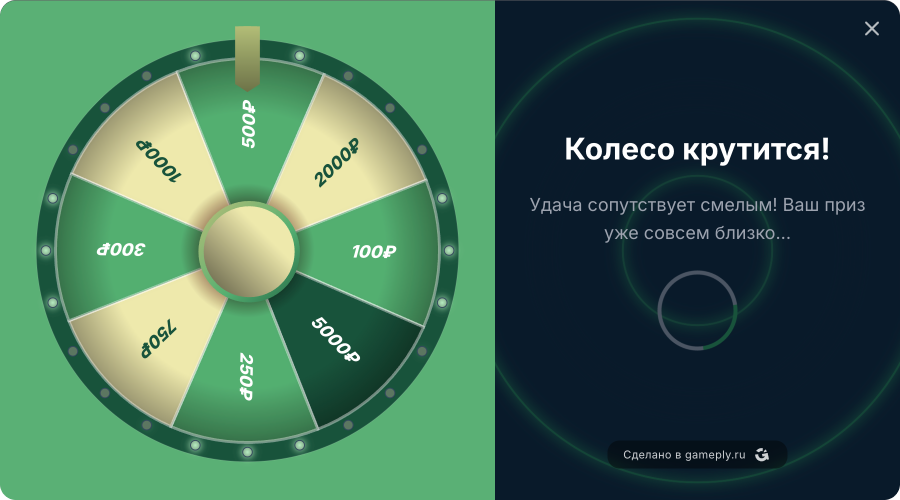 Конструктор колеса фортуны — Органик вайбс