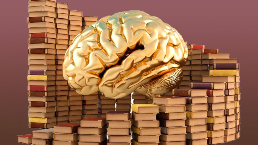 Саморазвитие деньги. Книга про деньги. Мозг знания. Мозг с книжкой.