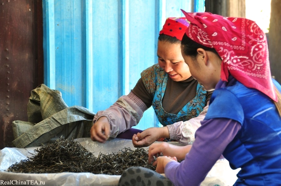 Местные тетушки перебирают чайное сырье перед продажей его на фабрику. Лаобаньчжан. www.realchinatea.ru