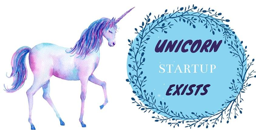 What Is A Unicorn Startup Why Are Startups Interested In Hiring Freelancers Tinkogroup